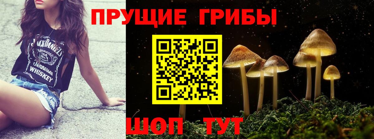 Торжок  Галлюциногенные грибы Cubensis  наркошоп  Вход с VPN 